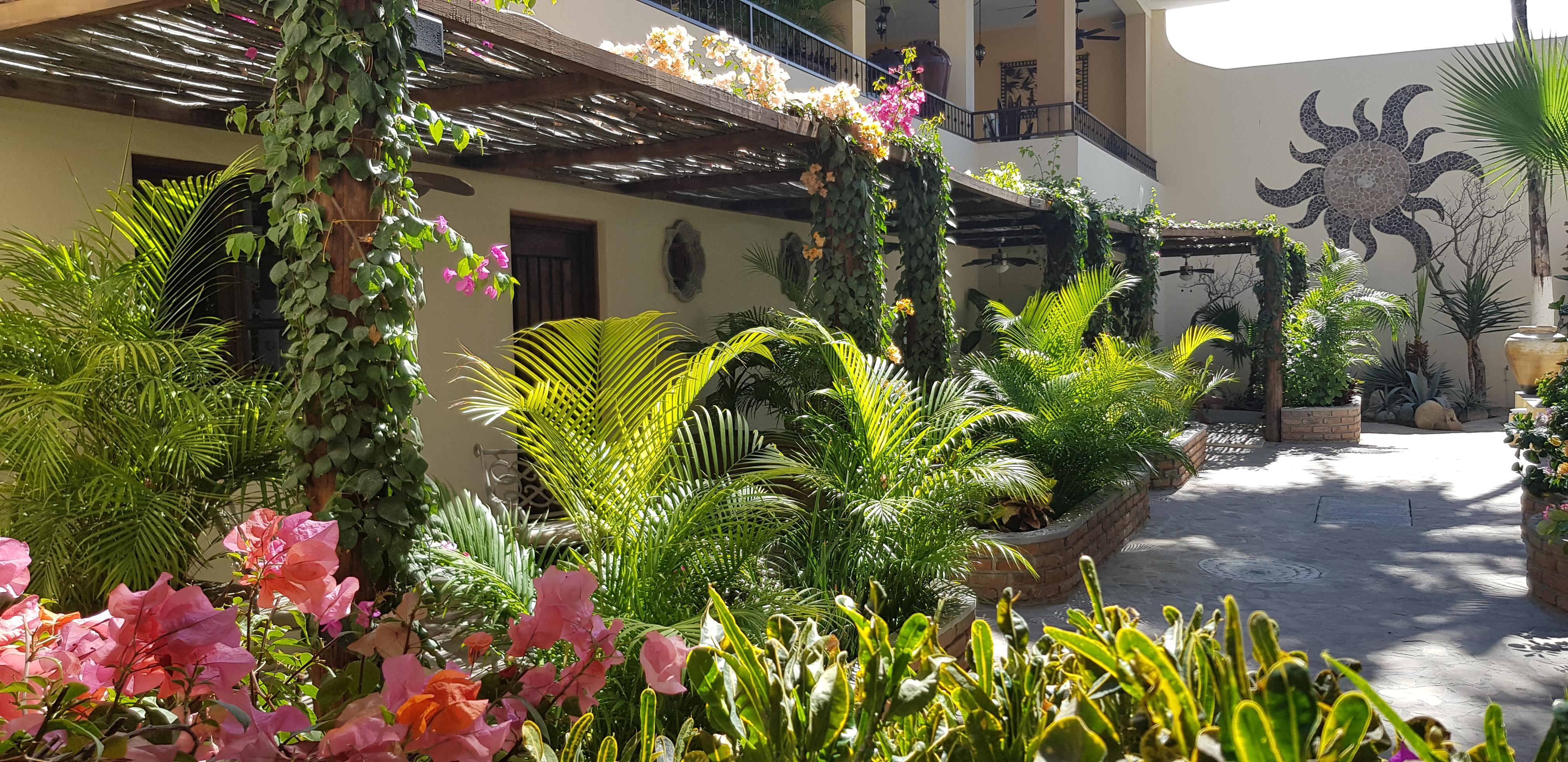 Posada De Las Flores La Paz Buitenkant foto